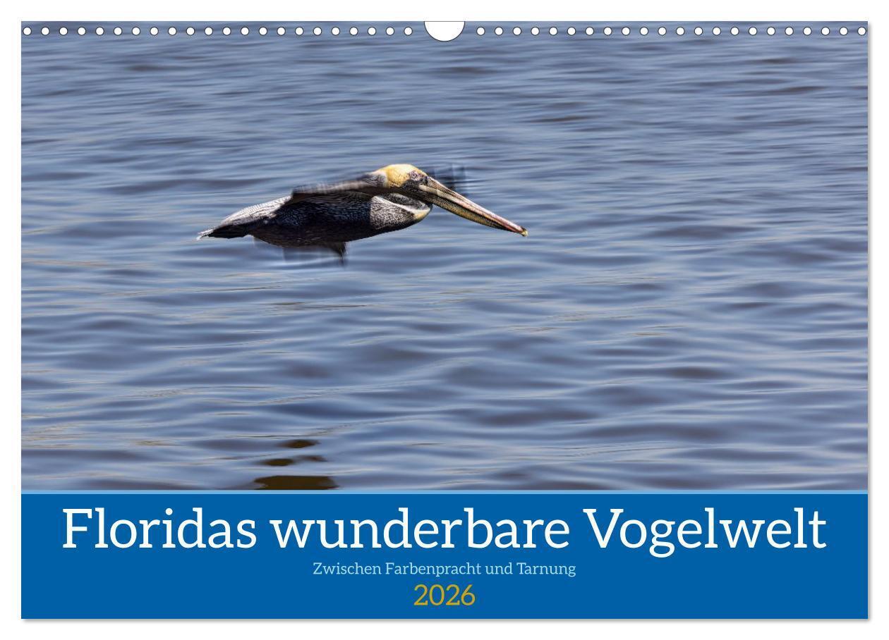 Floridas wunderbare Vogelwelt (Wandkalender 2026 DIN A3 quer) CALVENDO Monatskalender