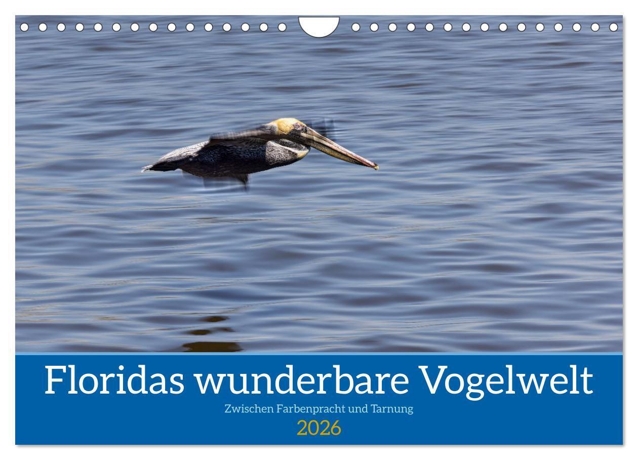 Floridas wunderbare Vogelwelt (Wandkalender 2026 DIN A4 quer) CALVENDO Monatskalender