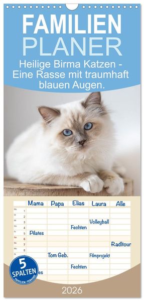 Familienplaner 2026 - Heilige Birma Katzen - Eine Rasse mit traumhaft blauen Augen. mit 5 Spalten (Wandkalender 21 x 45 cm) CALVENDO