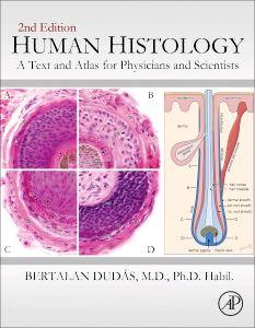 Human Histology