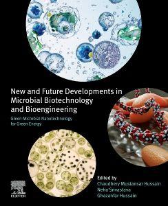Green Microbial Nanotechnology for Green Energy