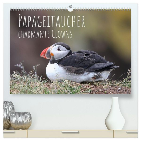 Papageitaucher - charmante Clowns (hochwertiger Premium Wandkalender 2026 DIN A2 quer) Kunstdruck in Hochglanz