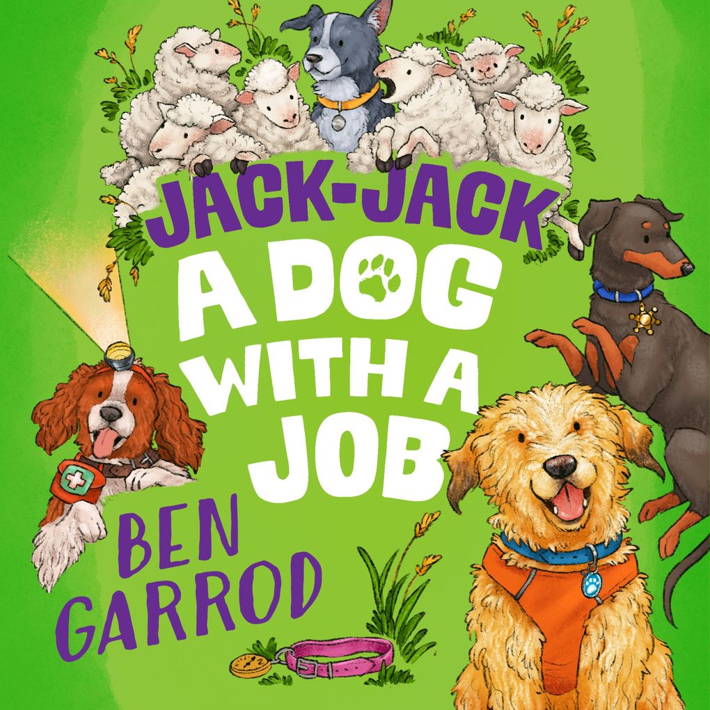 Jack-Jack A Dog with a Job