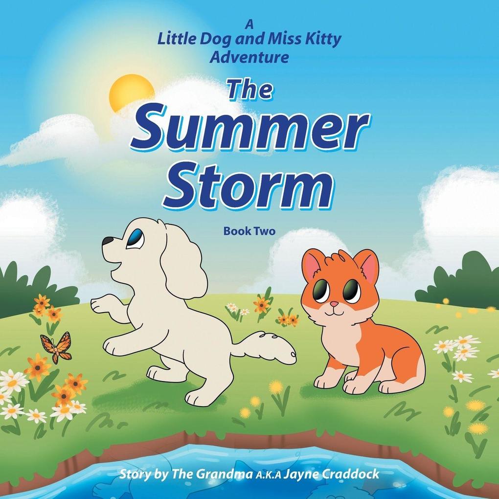 The Summer Storm