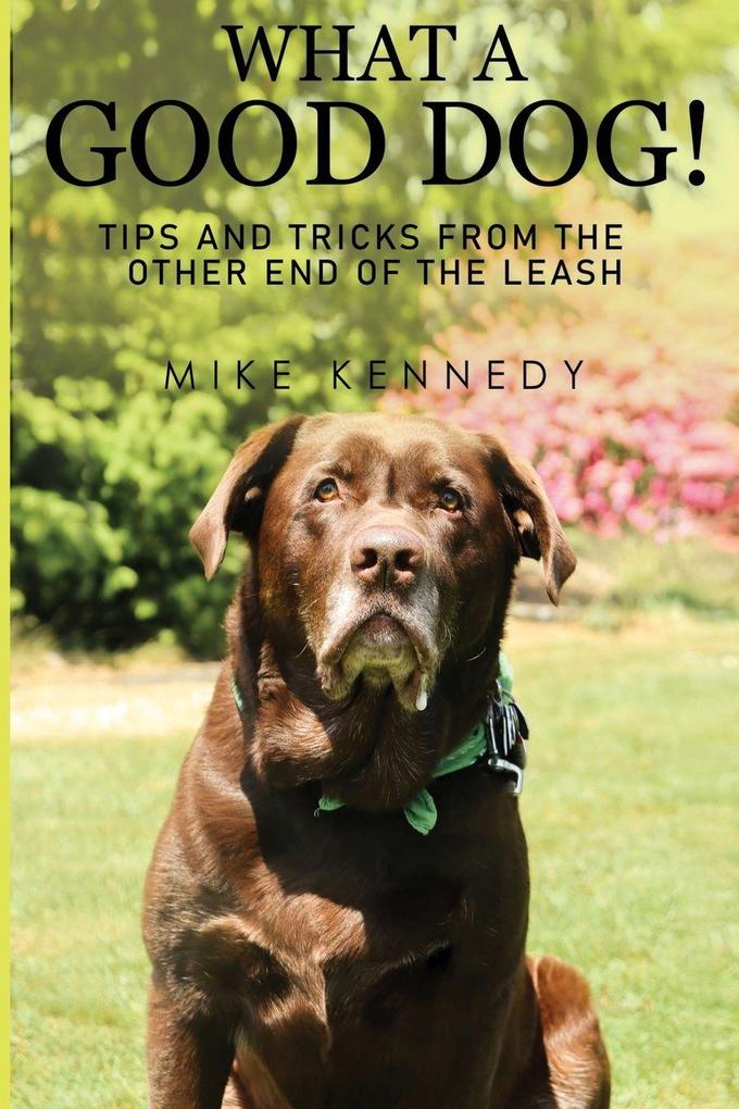 What a Good Dog! Tips and Tricks from the Other End of the Leash.