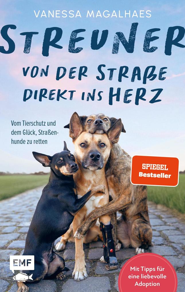 Streuner - von der Straße direkt ins Herz