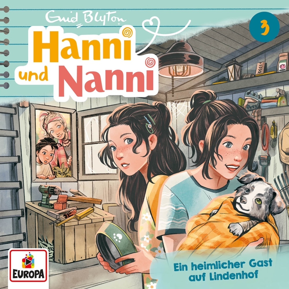 Hanni und Nanni (Neue Abenteuer) 03: Ein heimlicher Gast auf Lindenhof