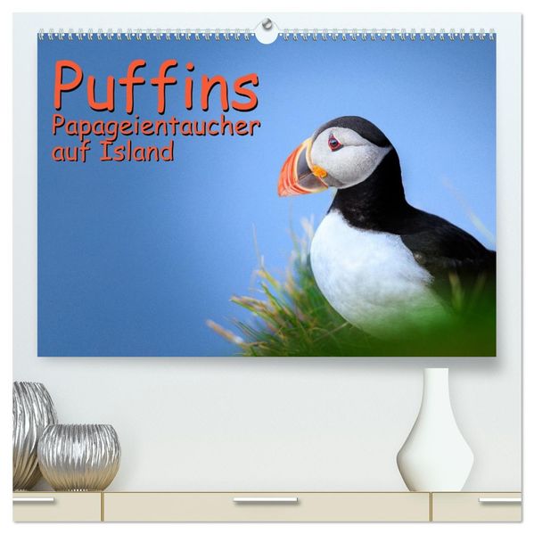 Puffins - Papageientaucher auf Island (hochwertiger Premium Wandkalender 2026 DIN A2 quer) Kunstdruck in Hochglanz