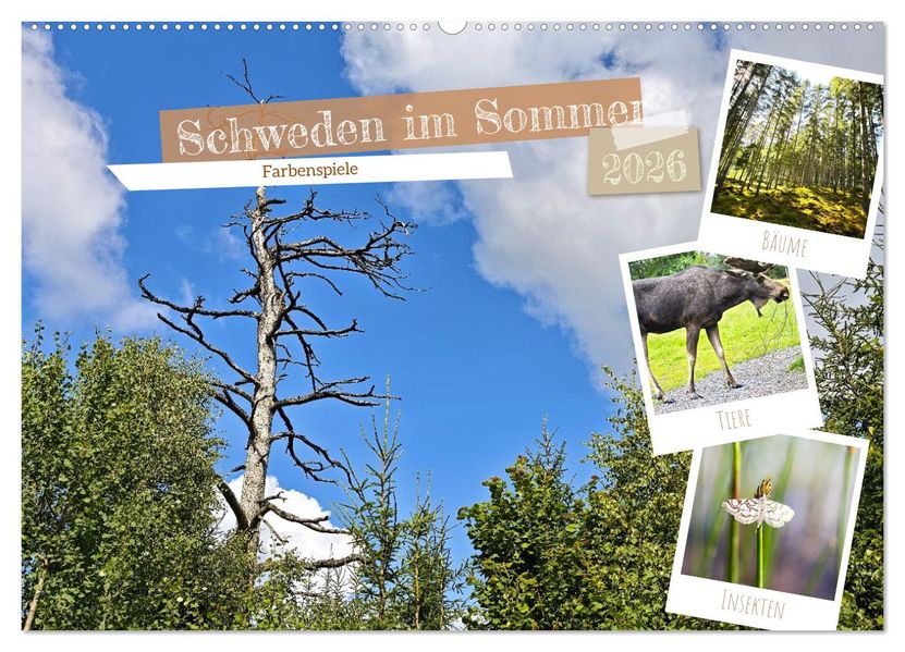 Schweden im Sommer (Wandkalender 2026 DIN A2 quer) CALVENDO Monatskalender