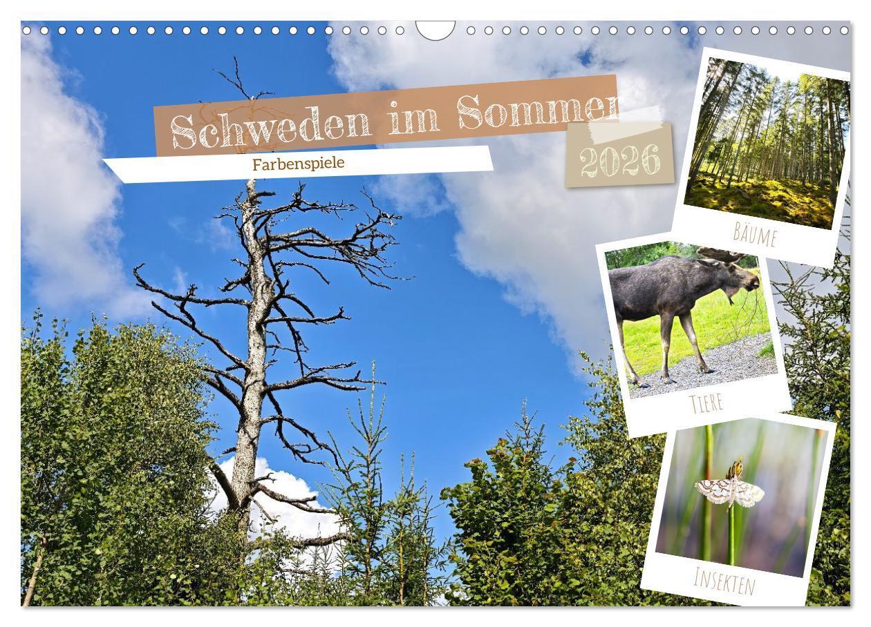 Schweden im Sommer (Wandkalender 2026 DIN A3 quer) CALVENDO Monatskalender