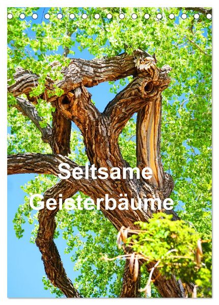 Geisterbäume (Tischkalender 2026 DIN A5 hoch) CALVENDO Monatskalender