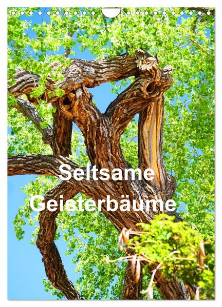 Geisterbäume (Wandkalender 2026 DIN A4 hoch) CALVENDO Monatskalender