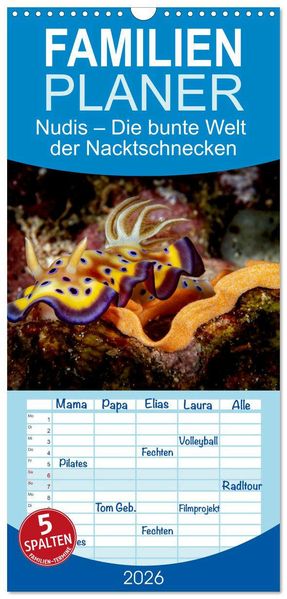 Familienplaner 2026 - Nudis - Die bunte Welt der Nacktschnecken mit 5 Spalten (Wandkalender 21 x 45 cm) CALVENDO
