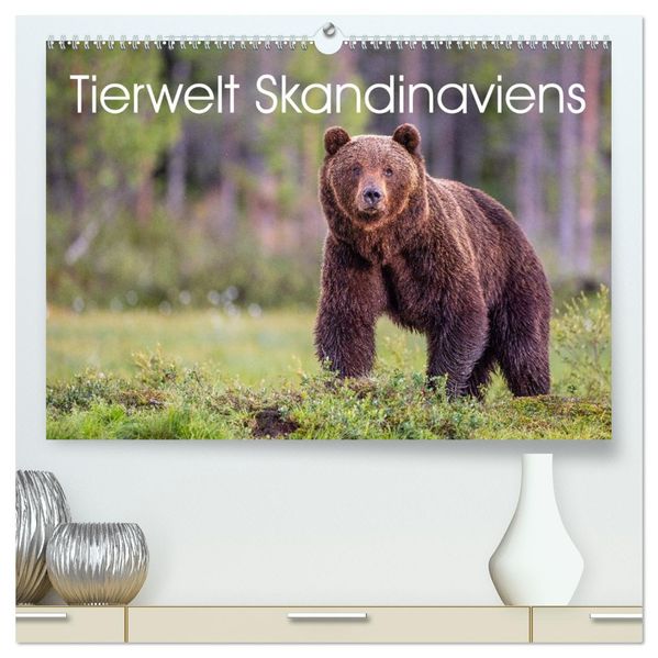 Tierwelt Skandinaviens (hochwertiger Premium Wandkalender 2026 DIN A2 quer) Kunstdruck in Hochglanz