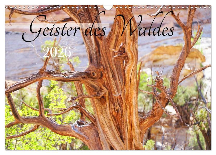 Geisterbäume (Wandkalender 2026 DIN A3 quer) CALVENDO Monatskalender