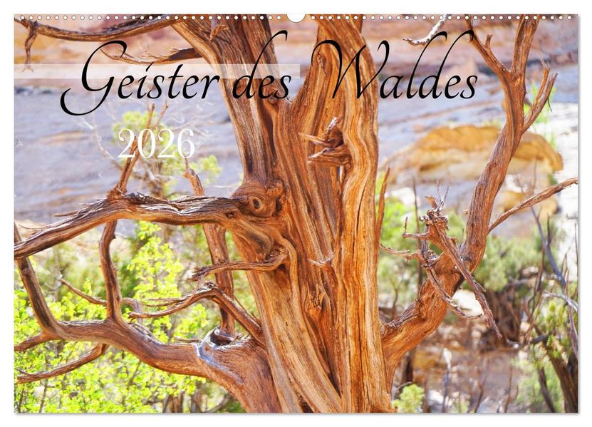 Geisterbäume (Wandkalender 2026 DIN A2 quer) CALVENDO Monatskalender