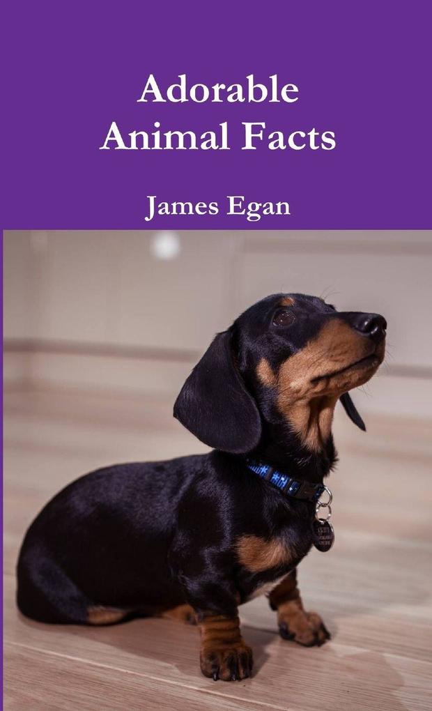 Adorable Animal Facts