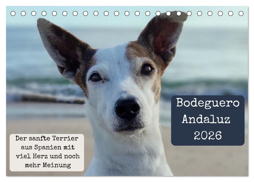 Ratonero Bodeguero Andaluz (Tischkalender 2026 DIN A5 quer) CALVENDO Monatskalender