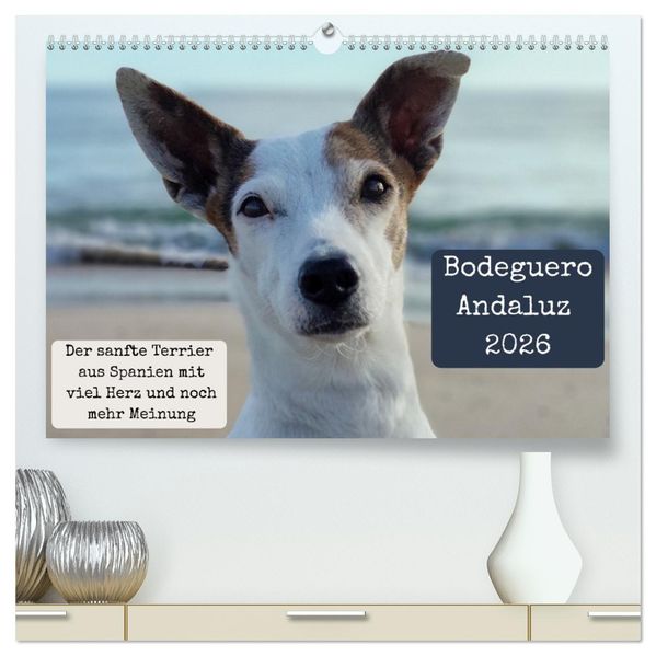 Ratonero Bodeguero Andaluz (hochwertiger Premium Wandkalender 2026 DIN A2 quer) Kunstdruck in Hochglanz