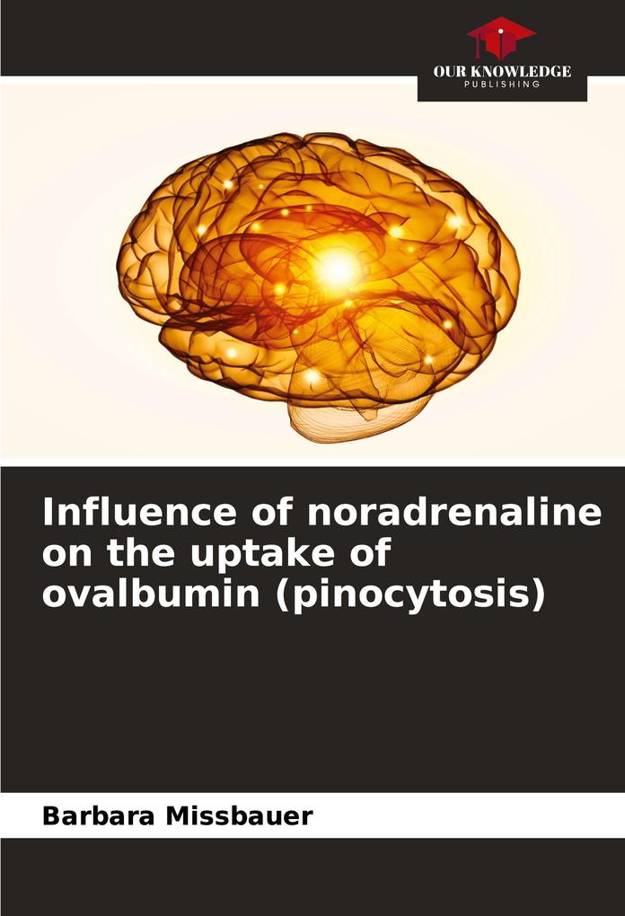 Influence of noradrenaline on the uptake of ovalbumin (pinocytosis)