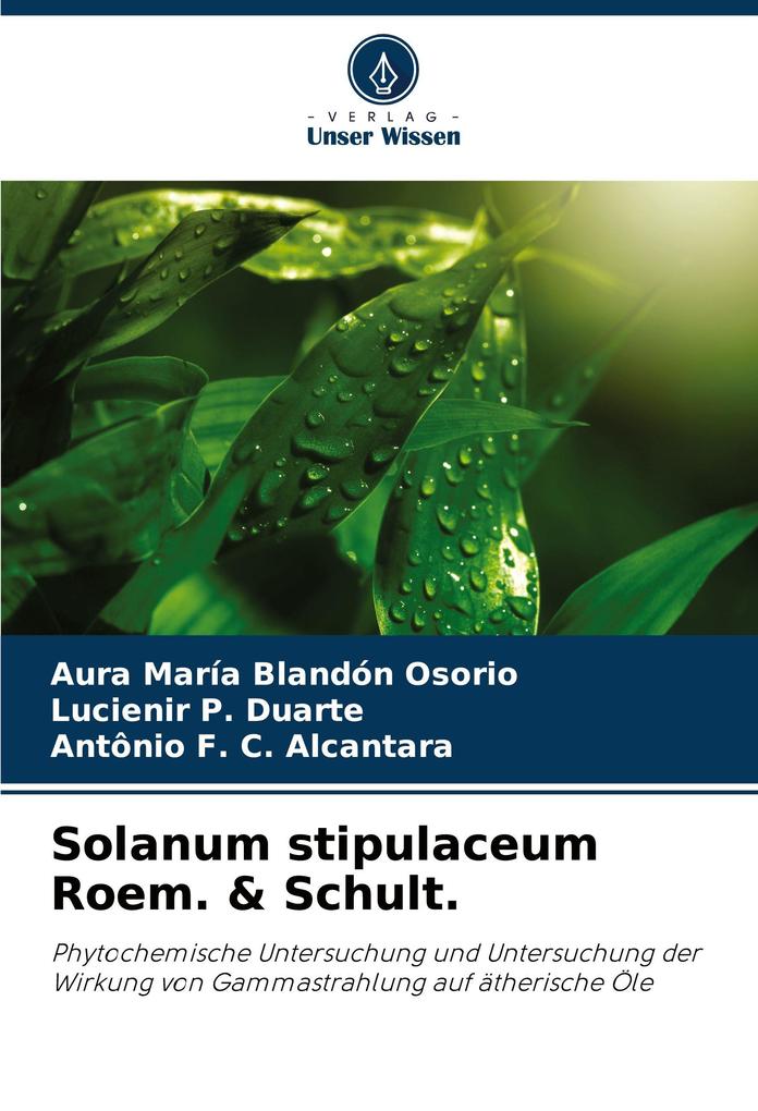 Solanum stipulaceum Roem. & Schult.