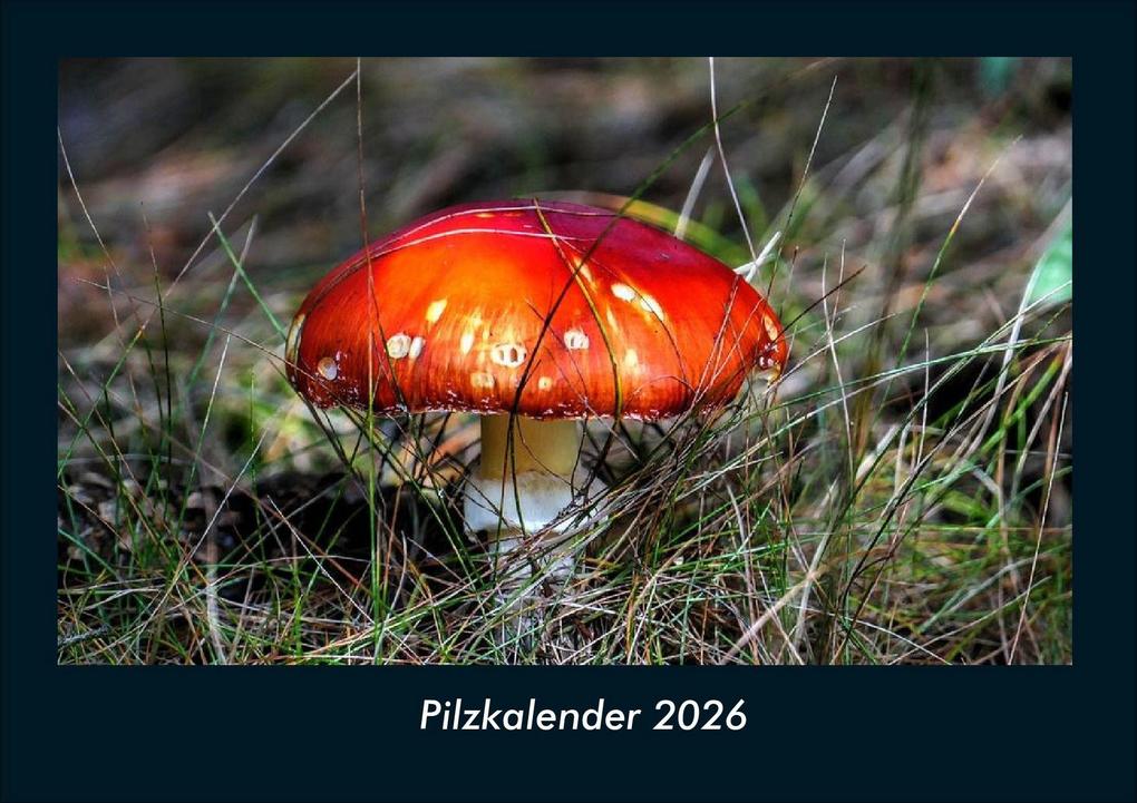 Pilzkalender 2026 Fotokalender DIN A4