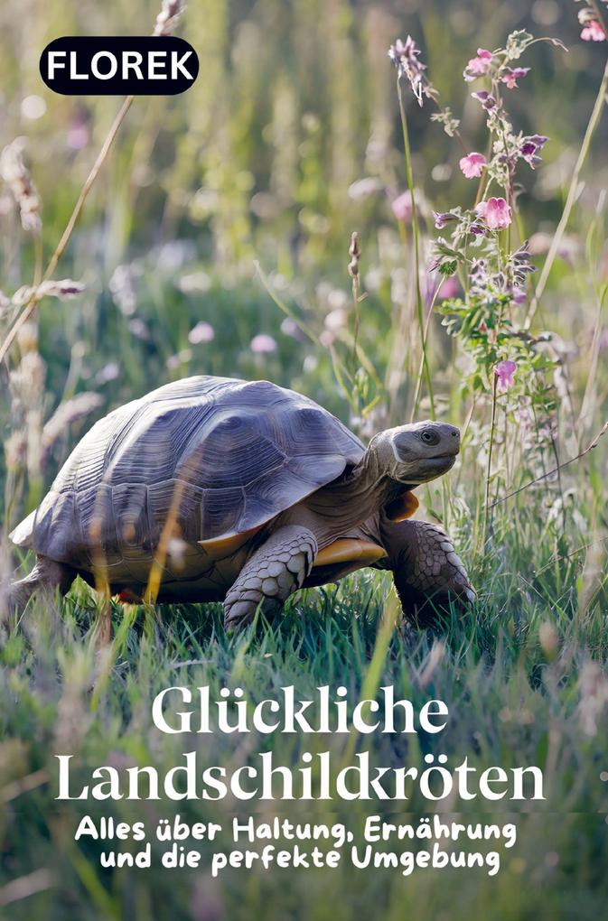 Glückliche Landschildkröten