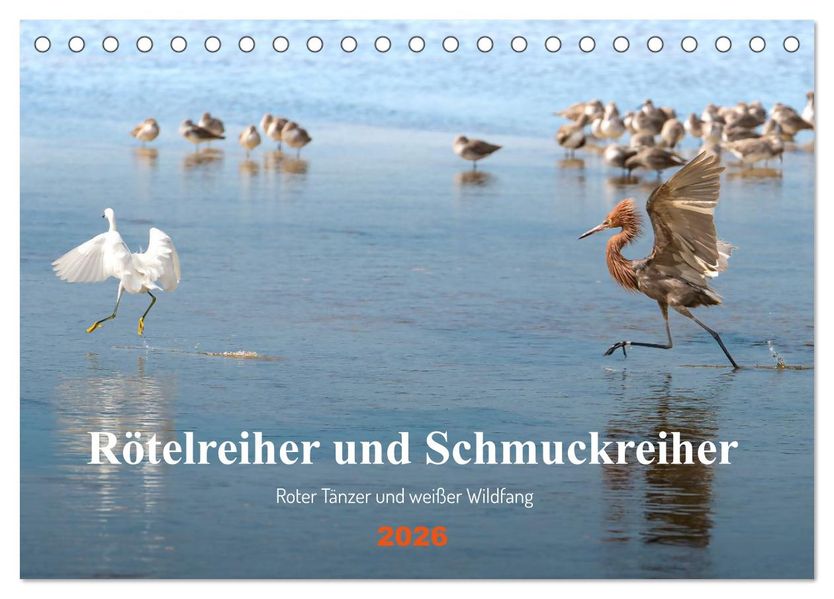 Rötelreiher und Schmuckreiher (Tischkalender 2026 DIN A5 quer) CALVENDO Monatskalender
