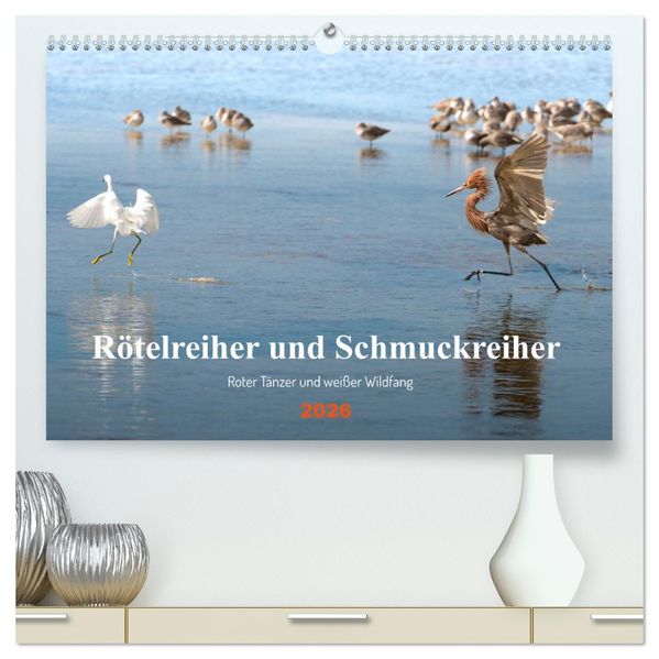 Rötelreiher und Schmuckreiher (hochwertiger Premium Wandkalender 2026 DIN A2 quer) Kunstdruck in Hochglanz
