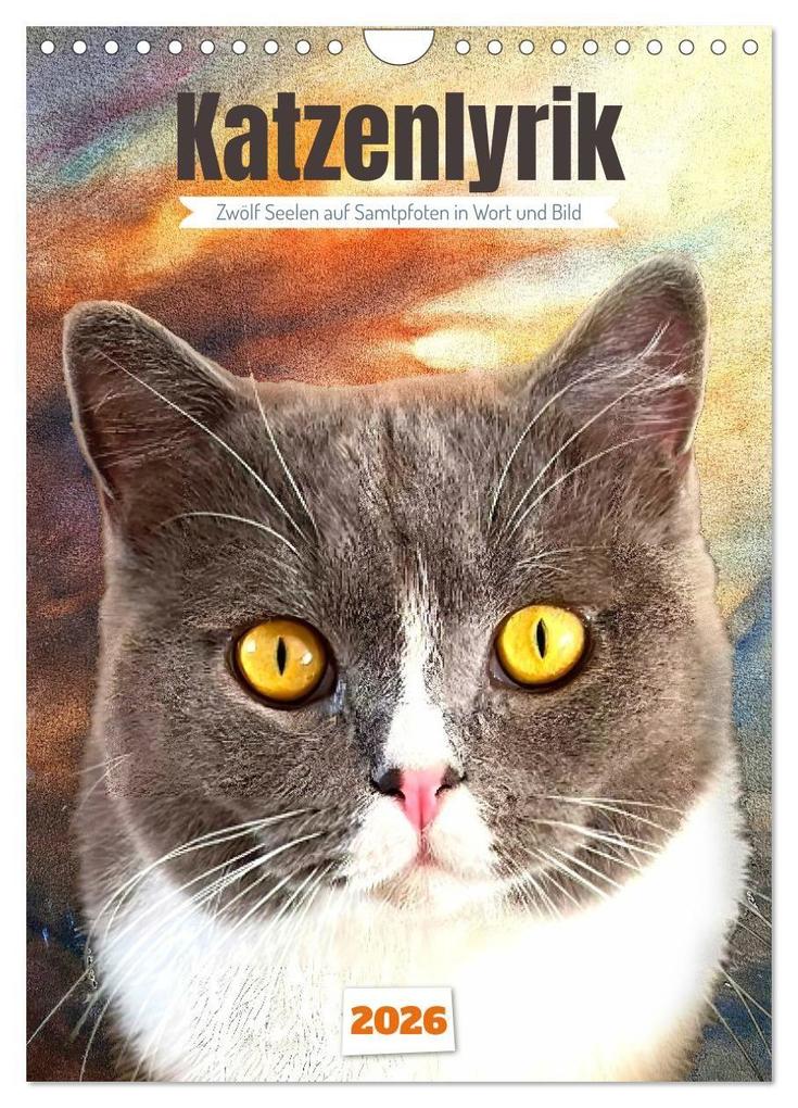 Katzenlyrik - Zwölf Seelen auf Samtpfoten in Wort und Bild (Wandkalender 2026 DIN A4 hoch) CALVENDO Monatskalender