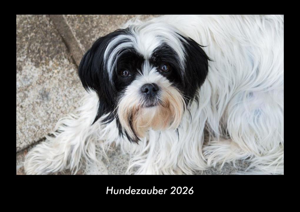 Hundezauber 2026 Fotokalender DIN A3