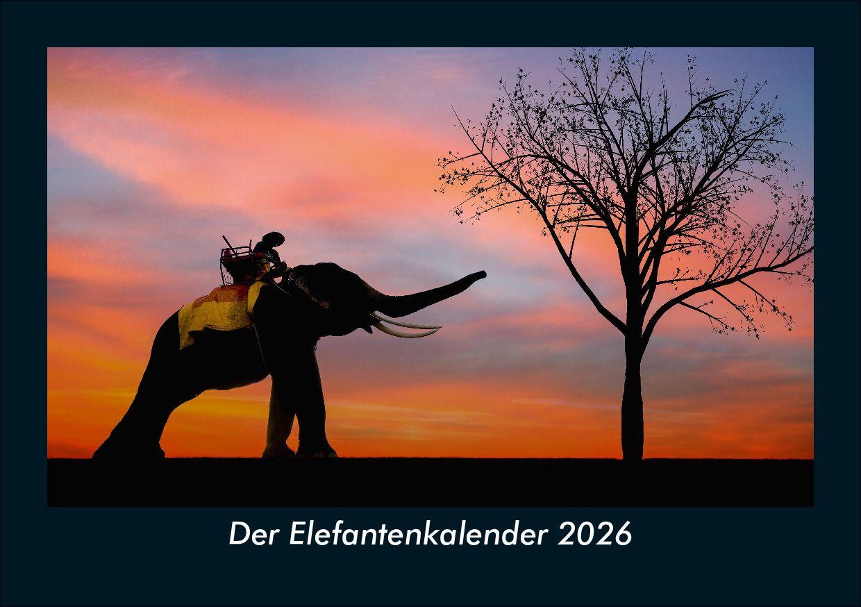 Der Elefantenkalender 2026 Fotokalender DIN A5