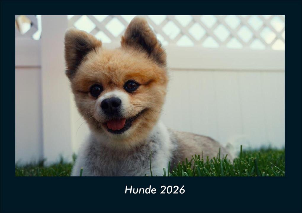 Hunde 2026 Fotokalender DIN A4