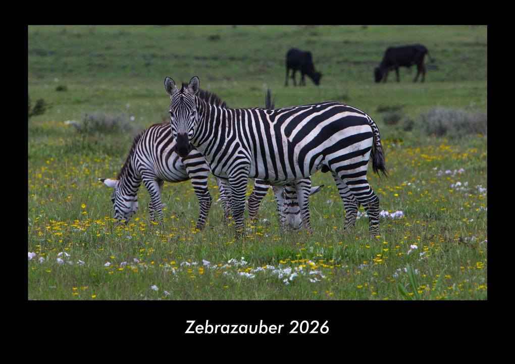 Zebrazauber 2026 Fotokalender DIN A3