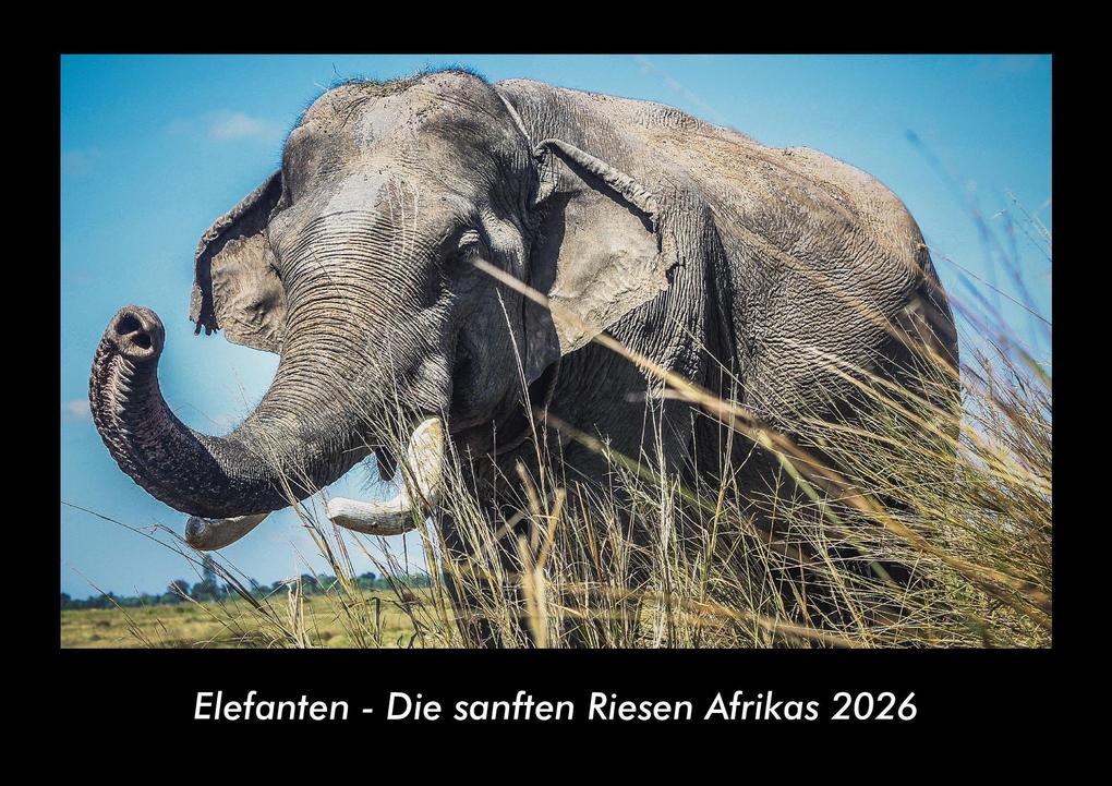 Elefanten - Die sanften Riesen Afrikas 2026 Fotokalender DIN A3