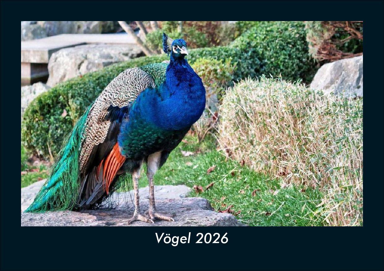 Vögel 2026 Fotokalender DIN A5