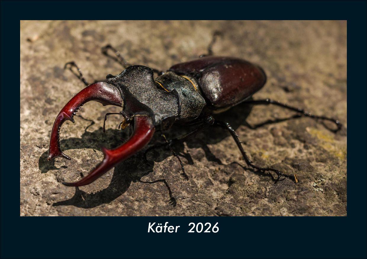 Käfer 2026 Fotokalender DIN A5