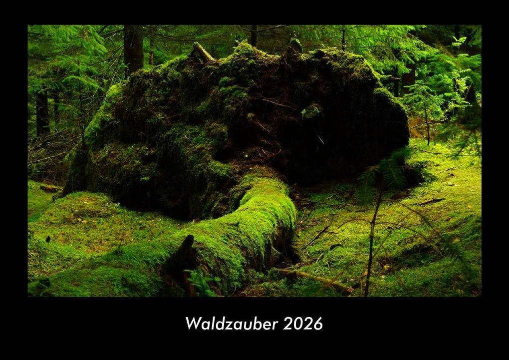 Waldzauber 2026 Fotokalender DIN A3