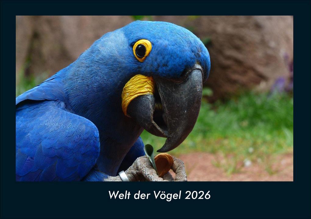 Welt der Vögel 2026 Fotokalender DIN A4