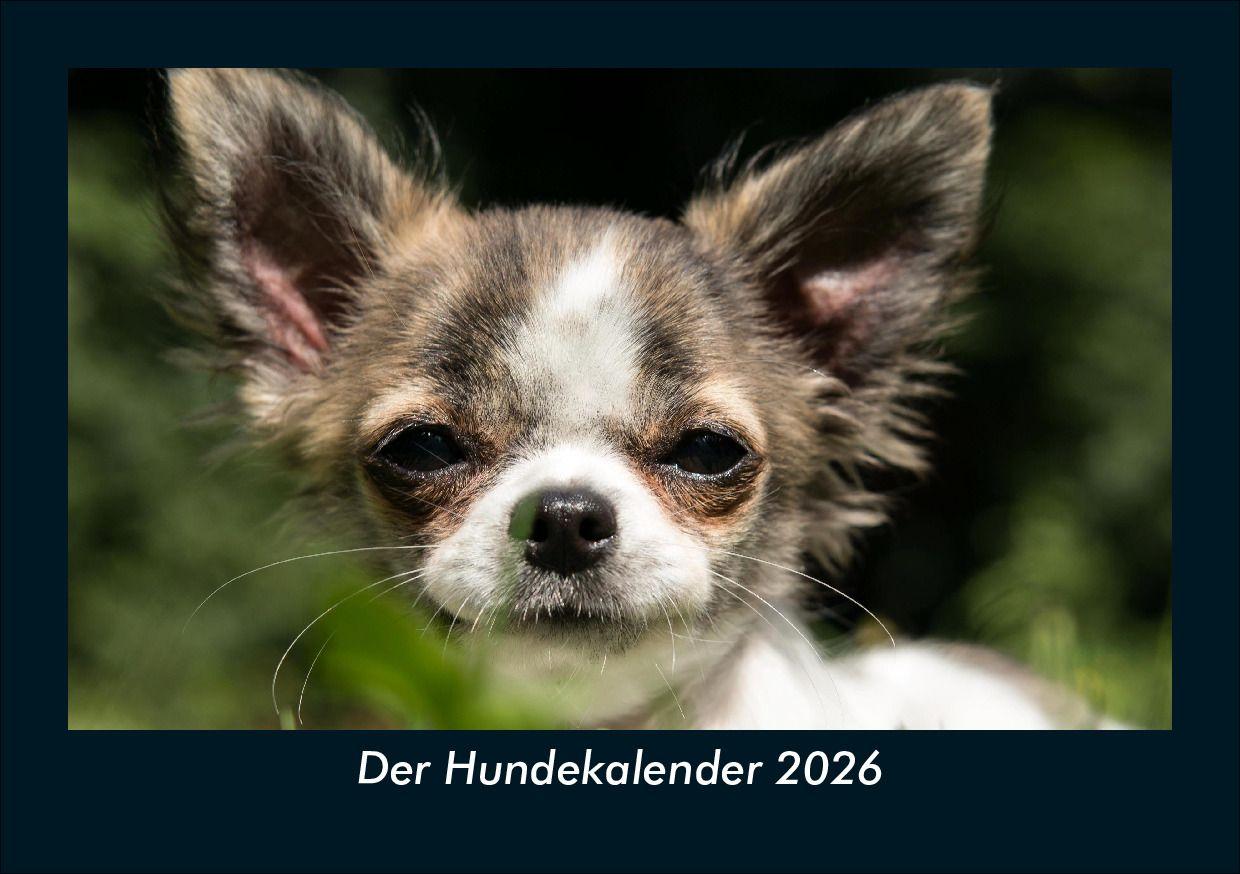 Der Hundekalender 2026 Fotokalender DIN A5