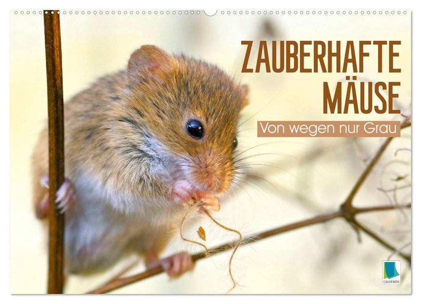Zauberhafte Mäuse: Von wegen nur Grau (Wandkalender 2026 DIN A2 quer) CALVENDO Monatskalender