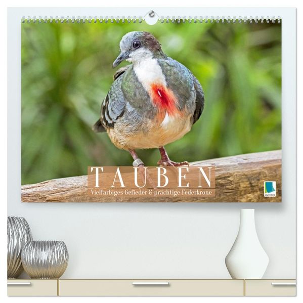 Tauben: vielfarbiges Gefieder und prächtige Federkrone (hochwertiger Premium Wandkalender 2026 DIN A2 quer) Kunstdruck in Hochglanz