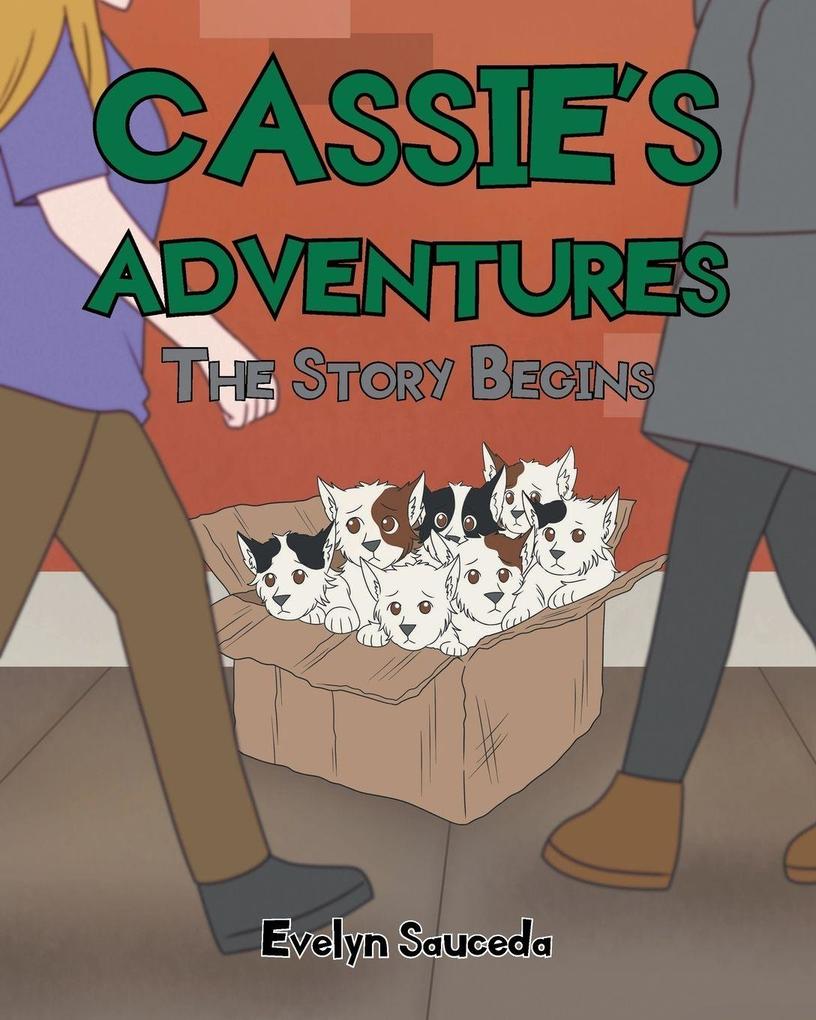 The Story Begins