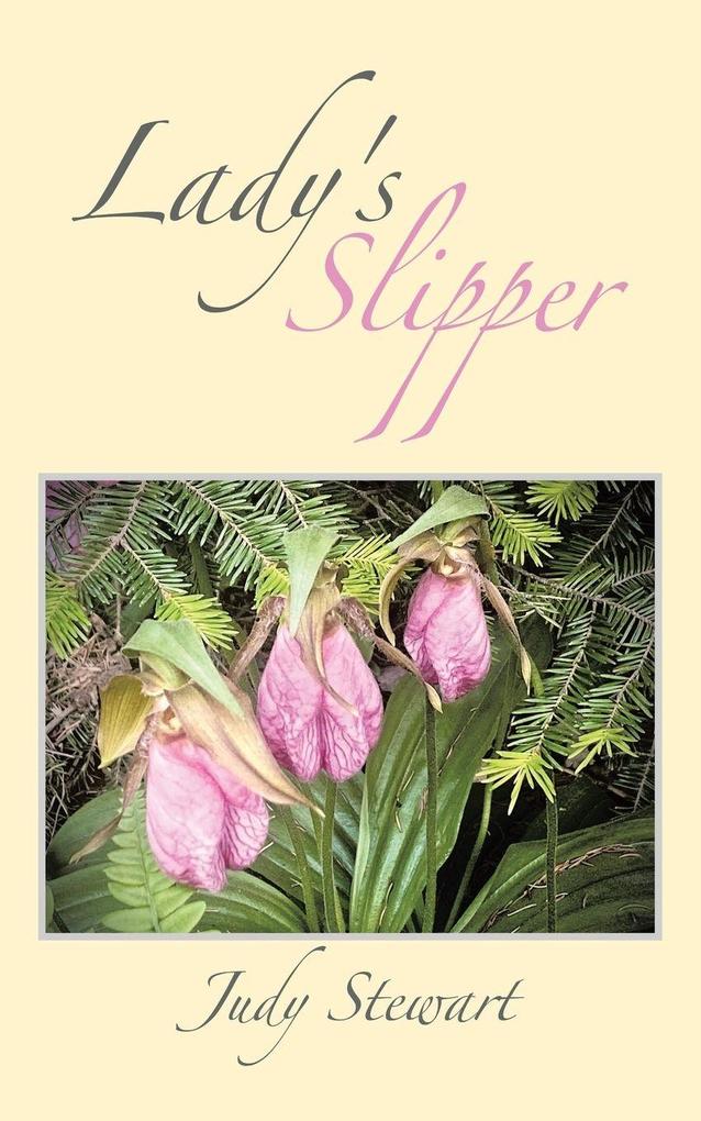 Lady's Slipper