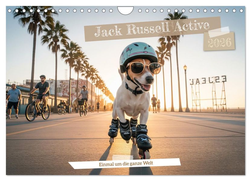 Jack Russel Active (Wandkalender 2026 DIN A4 quer) CALVENDO Monatskalender