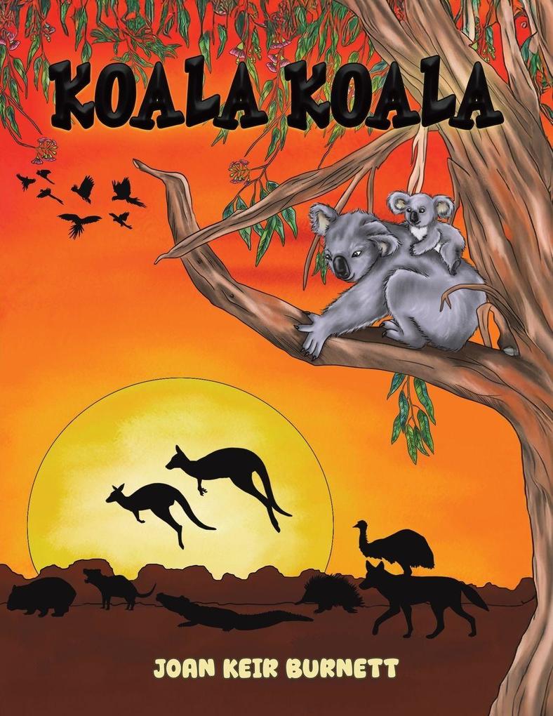 Koala Koala