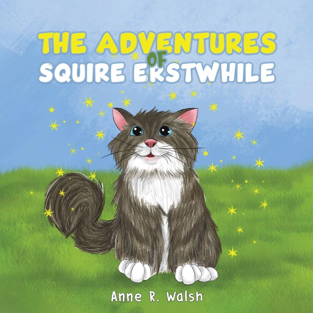 The Adventures of Squire Erstwhile