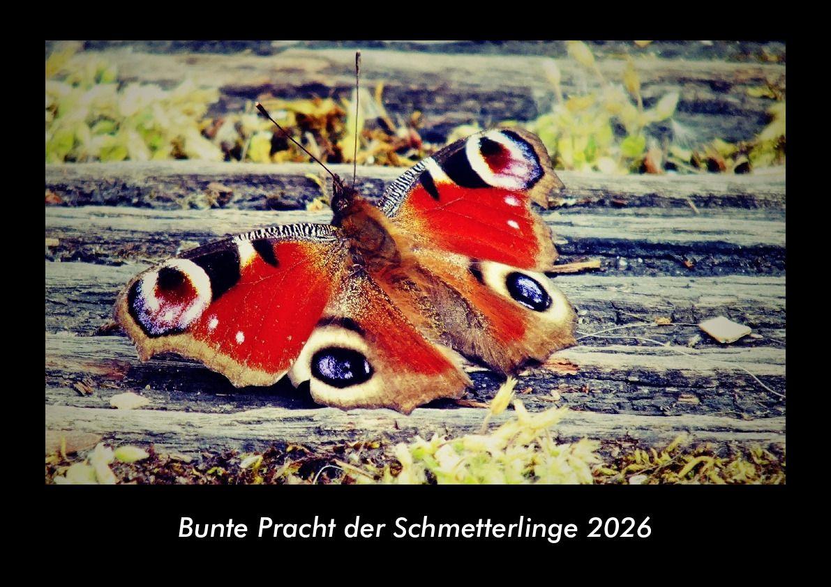 Bunte Pracht der Schmetterlinge 2026 Fotokalender DIN A3