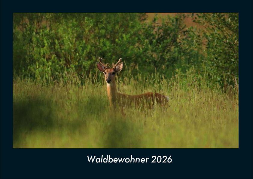 Waldbewohner 2026 Fotokalender DIN A4