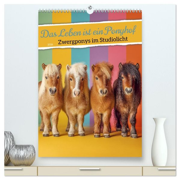 Das Leben ist ein Ponyhof - Zwergponys im Studiolicht (hochwertiger Premium Wandkalender 2026 DIN A2 hoch) Kunstdruck in Hochglanz